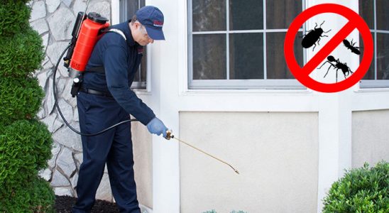 Dazkırı Tahtakurusu İlaçlama böcek ilaçlama ve haşere kontrolü — ilaclama-tr.com